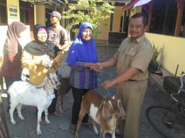 UPK BEKERJA SAMA DENGAN PEMERINTAH DESA KARANGMOJO SERAHKAN BANTUAN KAMBING